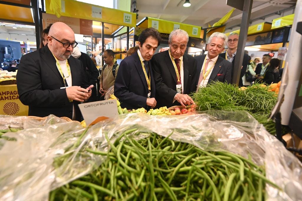 المصيلحي: تباحث مصري إيطالي لتطوير أسواق اليوم الواحد والجملة للتصدي لأزمات الأمن الغذائي
